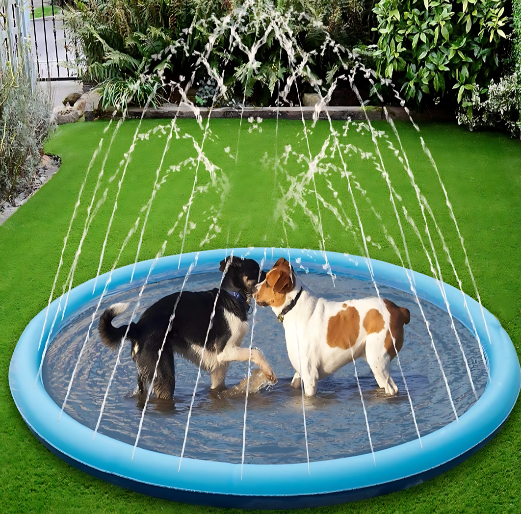 Summer Pet Swimming Pool Water Play.