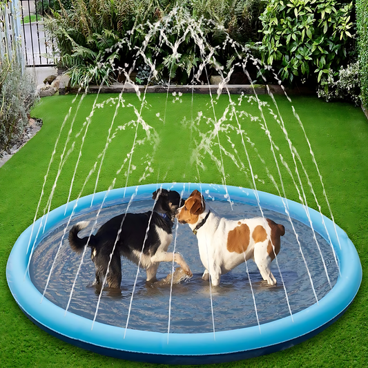 Summer Pet Swimming Pool Water Play.