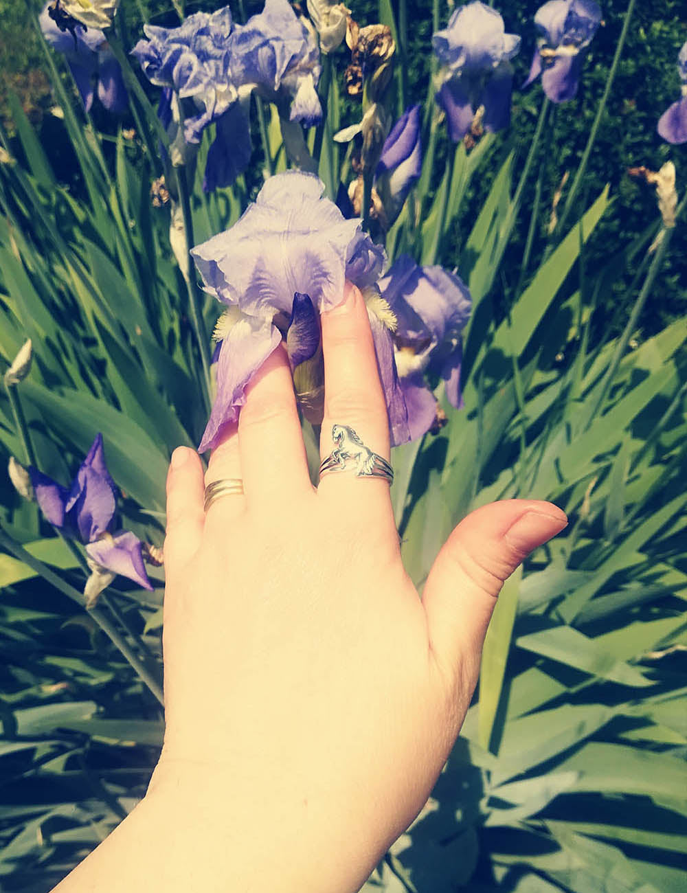 Silver Woman Horse Ring Animal Shaped.