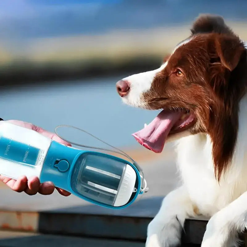 Dog Water Cup: The Ultimate 3-in-1 Portable Pet Companion