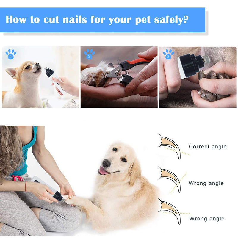 Painless Dog Nail Clippers with LED Light. (SAFE)