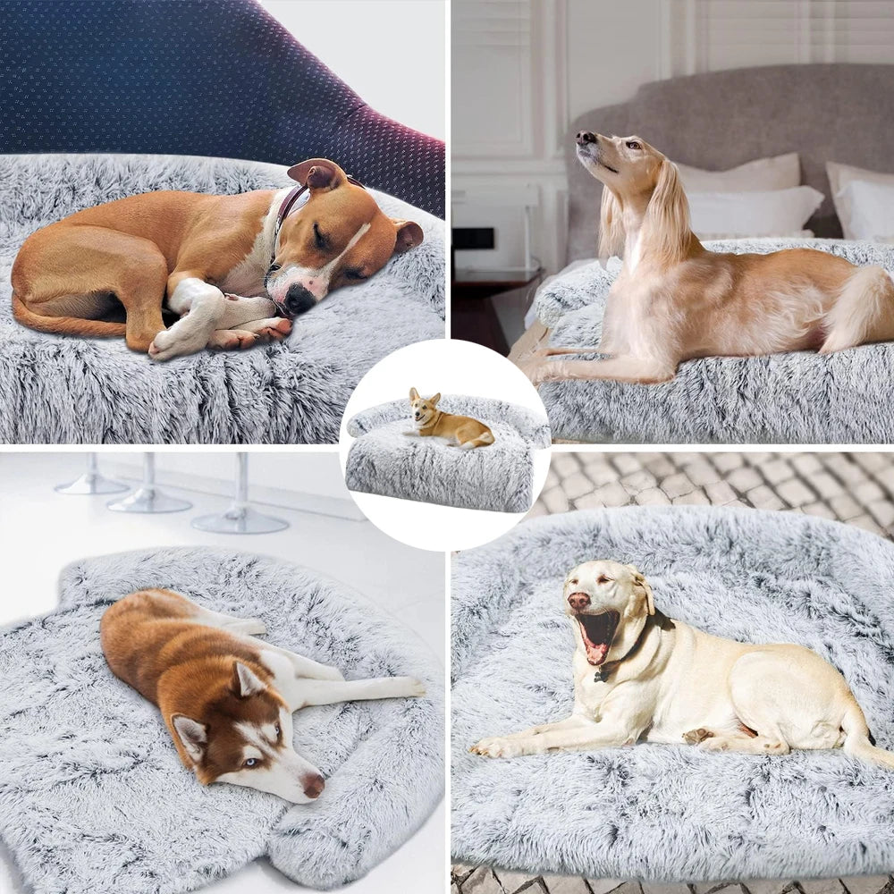 Cozy Comfort for Your Furry Friend