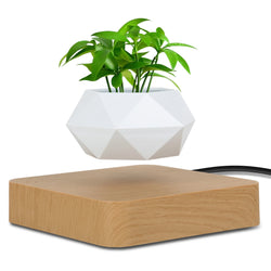 Fast Shipping Magnetic Suspension Flower Pot Levitating.