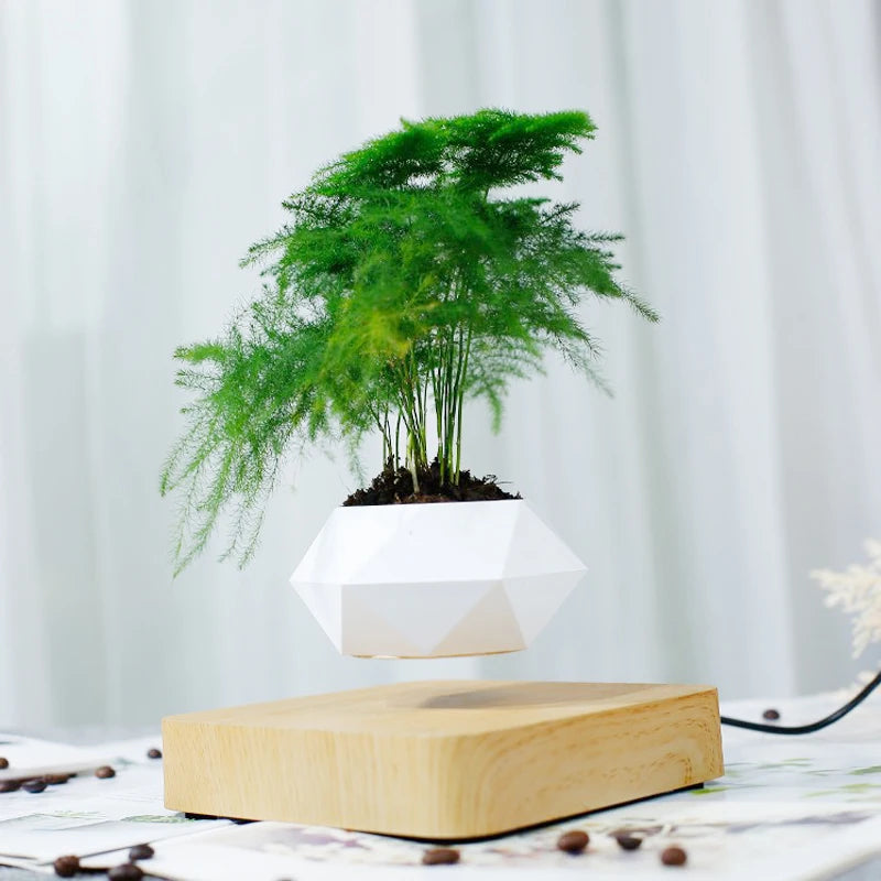 Fast Shipping Magnetic Suspension Flower Pot Levitating.