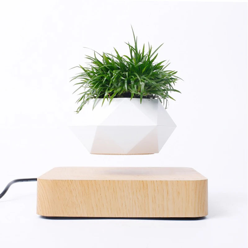 Fast Shipping Magnetic Suspension Flower Pot Levitating.