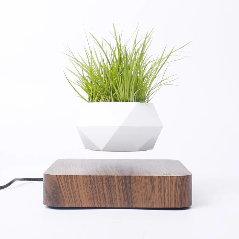 Fast Shipping Magnetic Suspension Flower Pot Levitating.