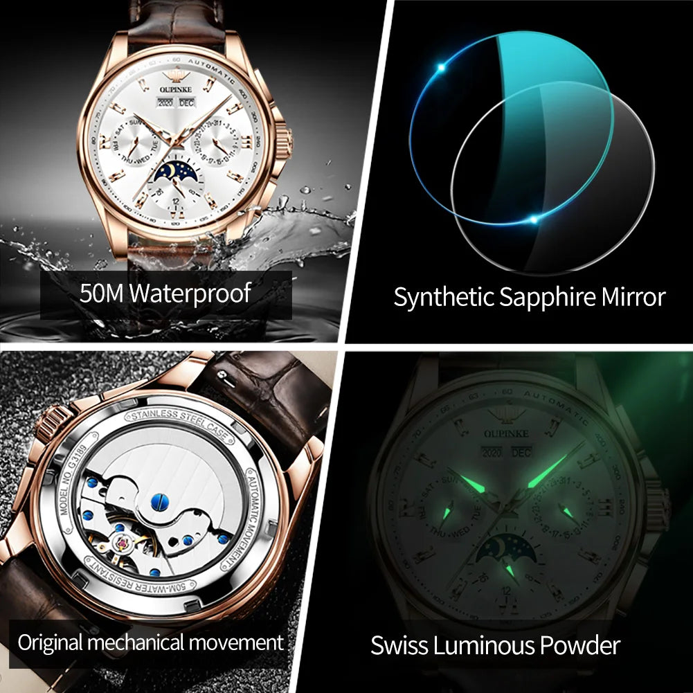 OUPINKE Luxury Brand Watches for Men Automatic Mechanical.