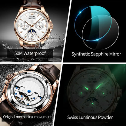 OUPINKE Luxury Brand Watches for Men Automatic Mechanical.