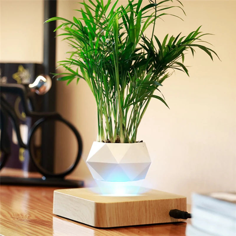 Fast Shipping Magnetic Suspension Flower Pot Levitating.