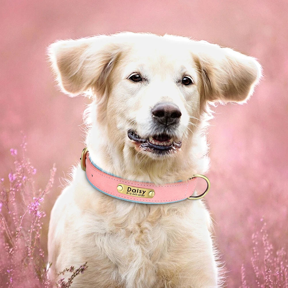 Customized Leather ID Nameplate Dog Collar Soft Padded Dogs Collars Free Engraving Name for Small Medium Large Dogs Adjustable