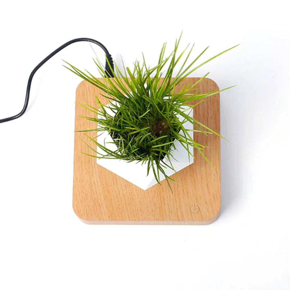 Levitating Air Pot Rotation Flower Planters Magnetic.