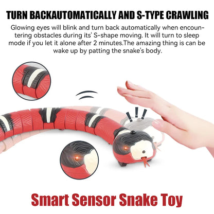 Cat Dog Pet Snake Toys Rechargeable Smart.