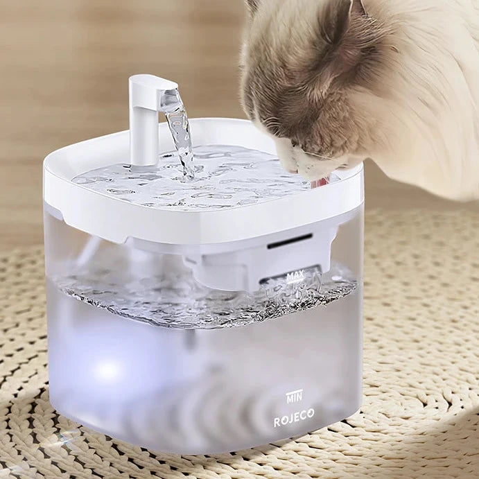 Transparent Cat Water Fountain Automatic Pet Water.