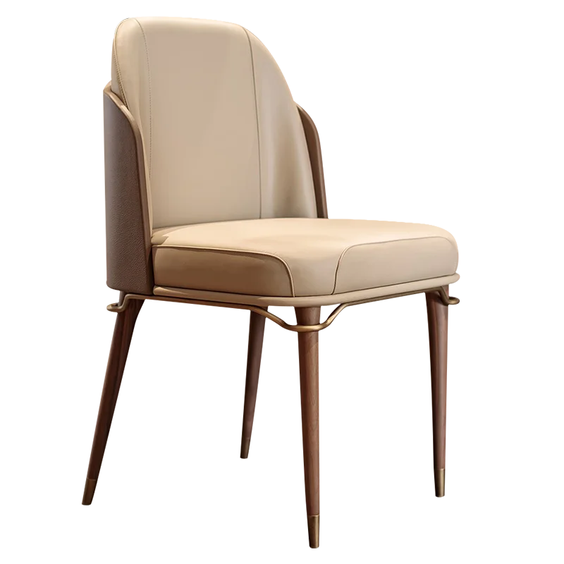 Comfortable Modren Dining Chairs Luxury Nordic.