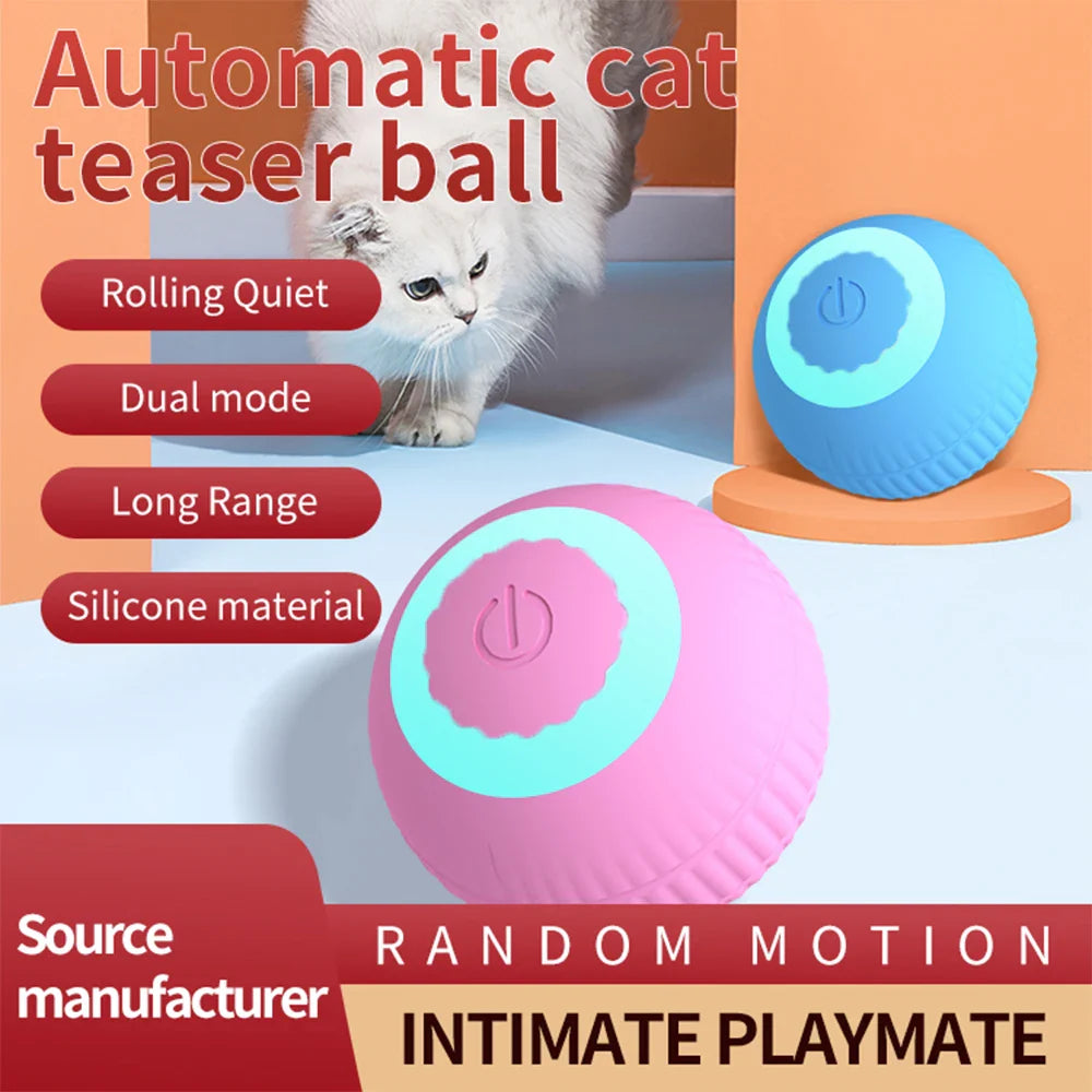 Interactive Cat Toys Ball: The Ultimate Hide and Seek Kitten Toy!