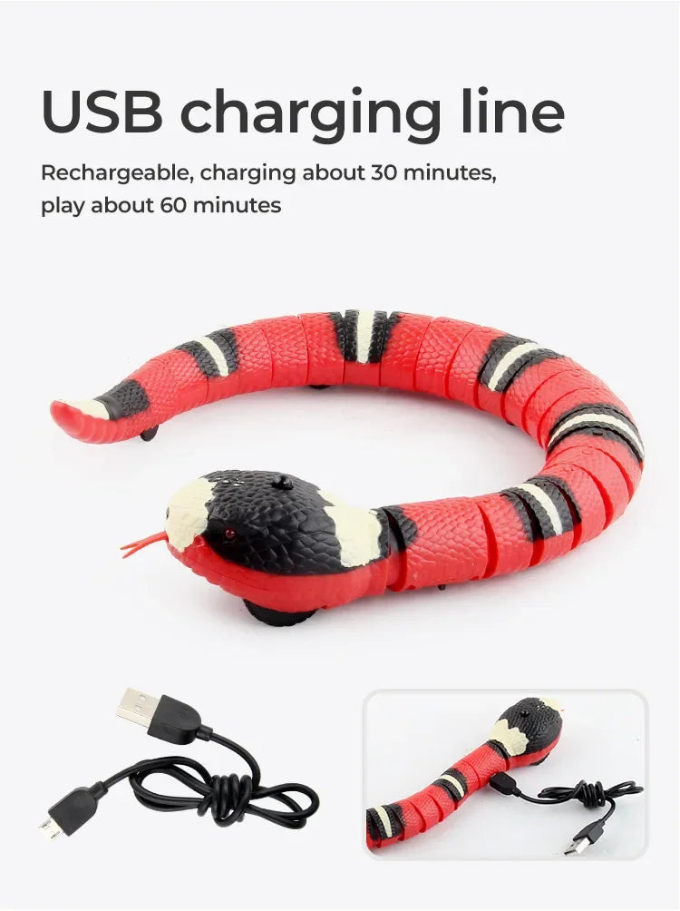 Cat Dog Pet Snake Toys Rechargeable Smart.