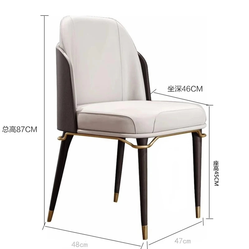 Comfortable Modren Dining Chairs Luxury Nordic.