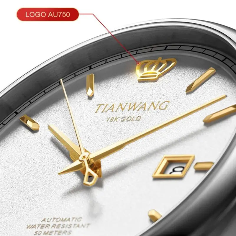 TIAN WANG Men's Watches For Men Automatic.