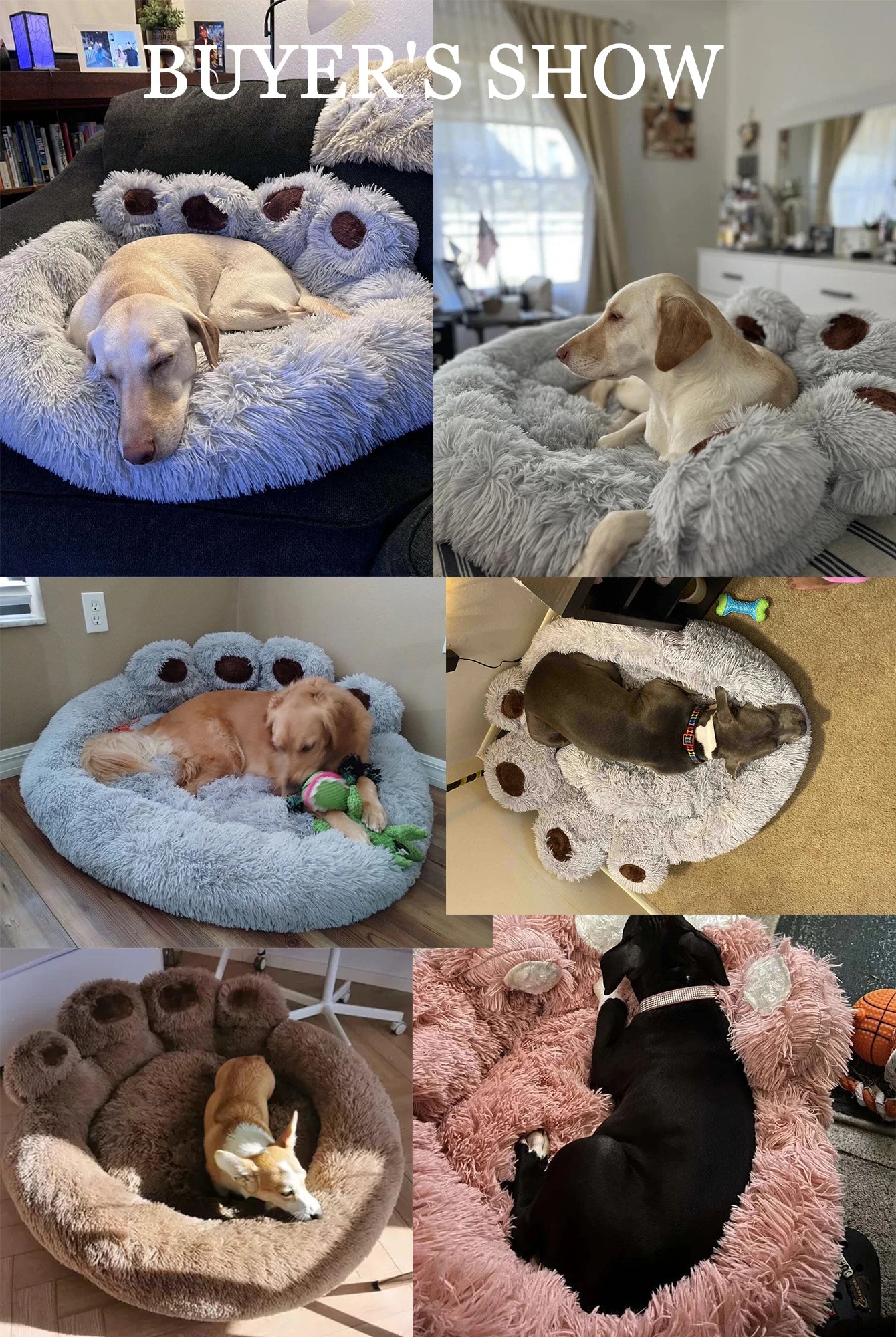 Pet Dog Sofa Beds for Small Dogs