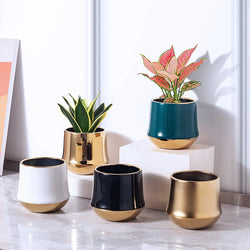 Electroplating Golden Ceramic Flower Pot.