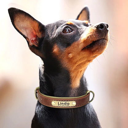 Customized Leather ID Nameplate Dog Collar Soft Padded Dogs Collars Free Engraving Name for Small Medium Large Dogs Adjustable