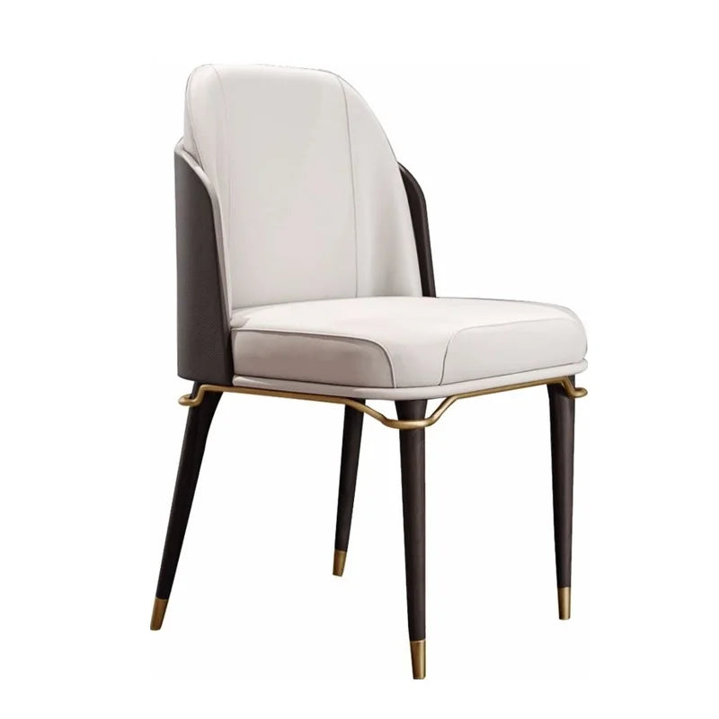 Comfortable Modren Dining Chairs Luxury Nordic.