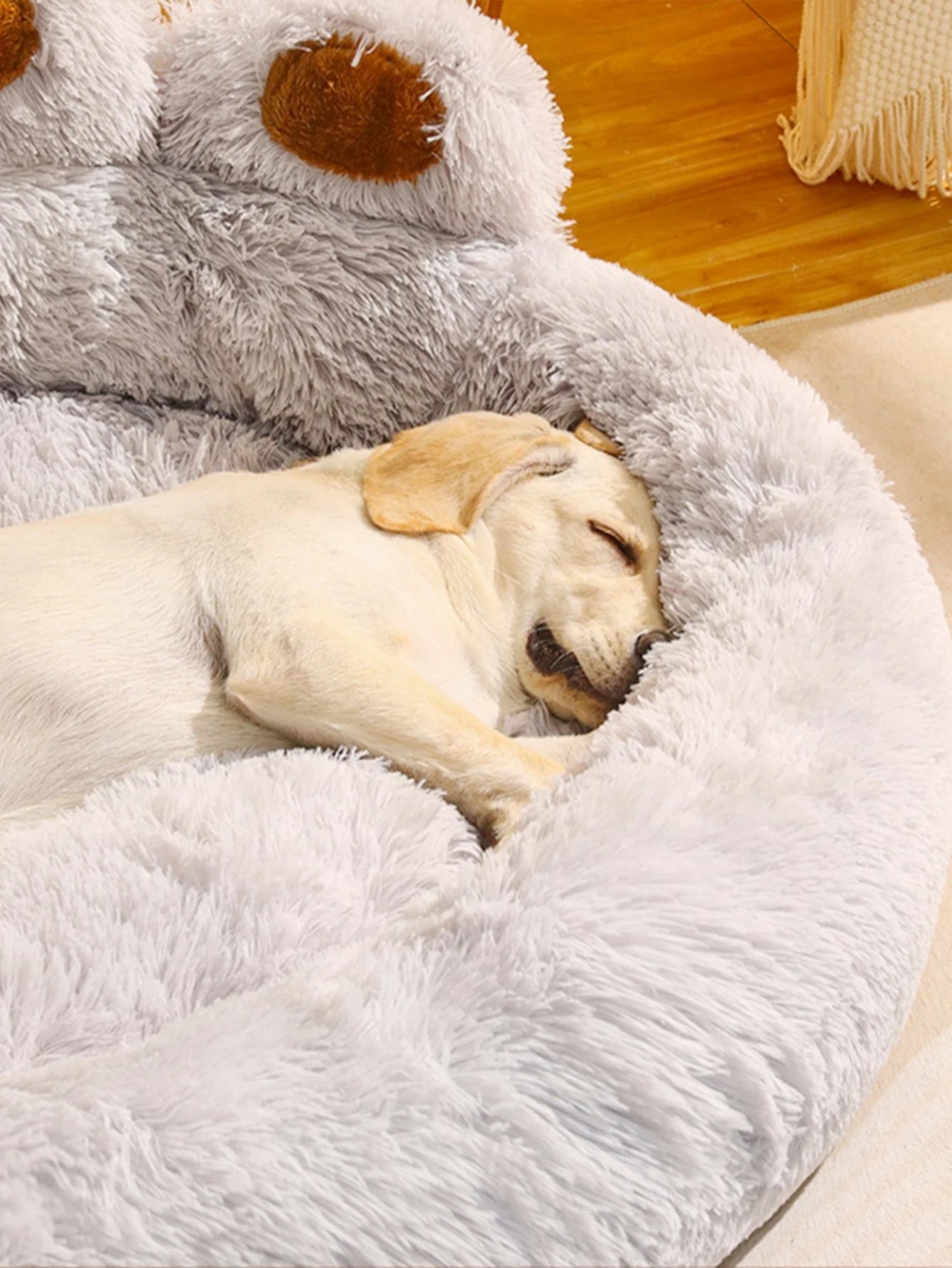 Pet Dog Sofa Beds for Small Dogs