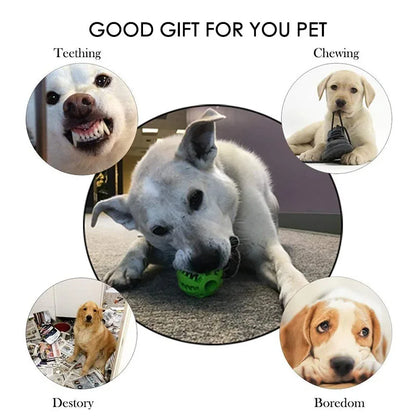 Dog Toy Ball Interactive Rubber Balls Puppy Chewing Toys Pet Tooth Cleaning Ball Cats Pets Food Treat Feeder Silicone Balls Toy