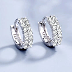 Silver Earrings Fashion High Quality Jewelry.