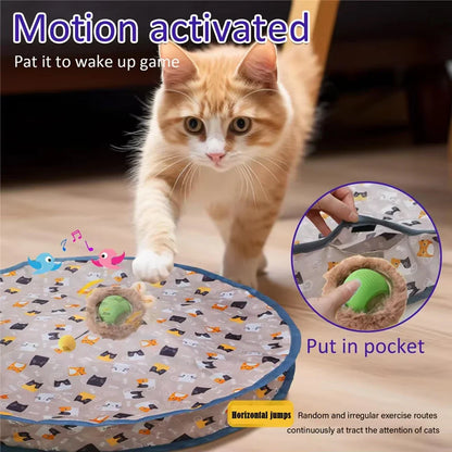 Interactive Cat Toys Ball: The Ultimate Hide and Seek Kitten Toy!