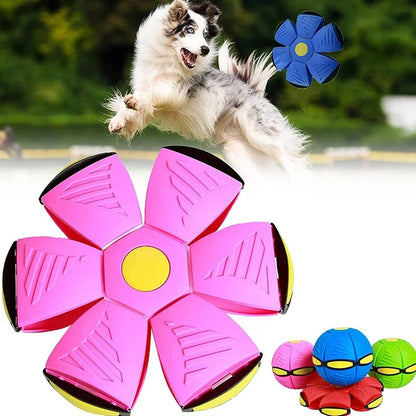 Flying Disc Interactive Flying Saucer Ball Dog Toys Transformable Outdoor Dog Training Toy Pelota Dogs Training Toys Accessoire