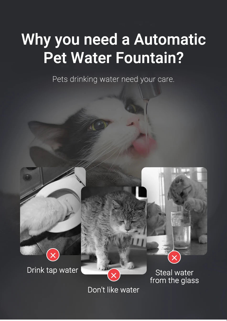 ROJECO Transparent Cat Water Fountain Automatic Pet Water Dispenser for Cats Dog Smart Drinking Fountain Purifier Accessories