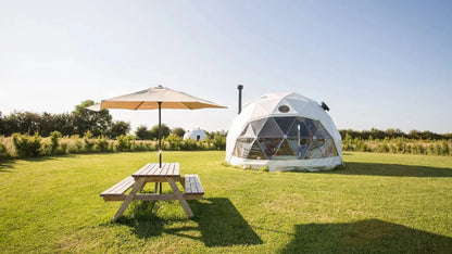 Geodesic Dome Manor greenhouse Tent Leisure Resort Vacation Outdoor Glamping Round Tent Transparent Starry Sky Luxury Hotel Dome