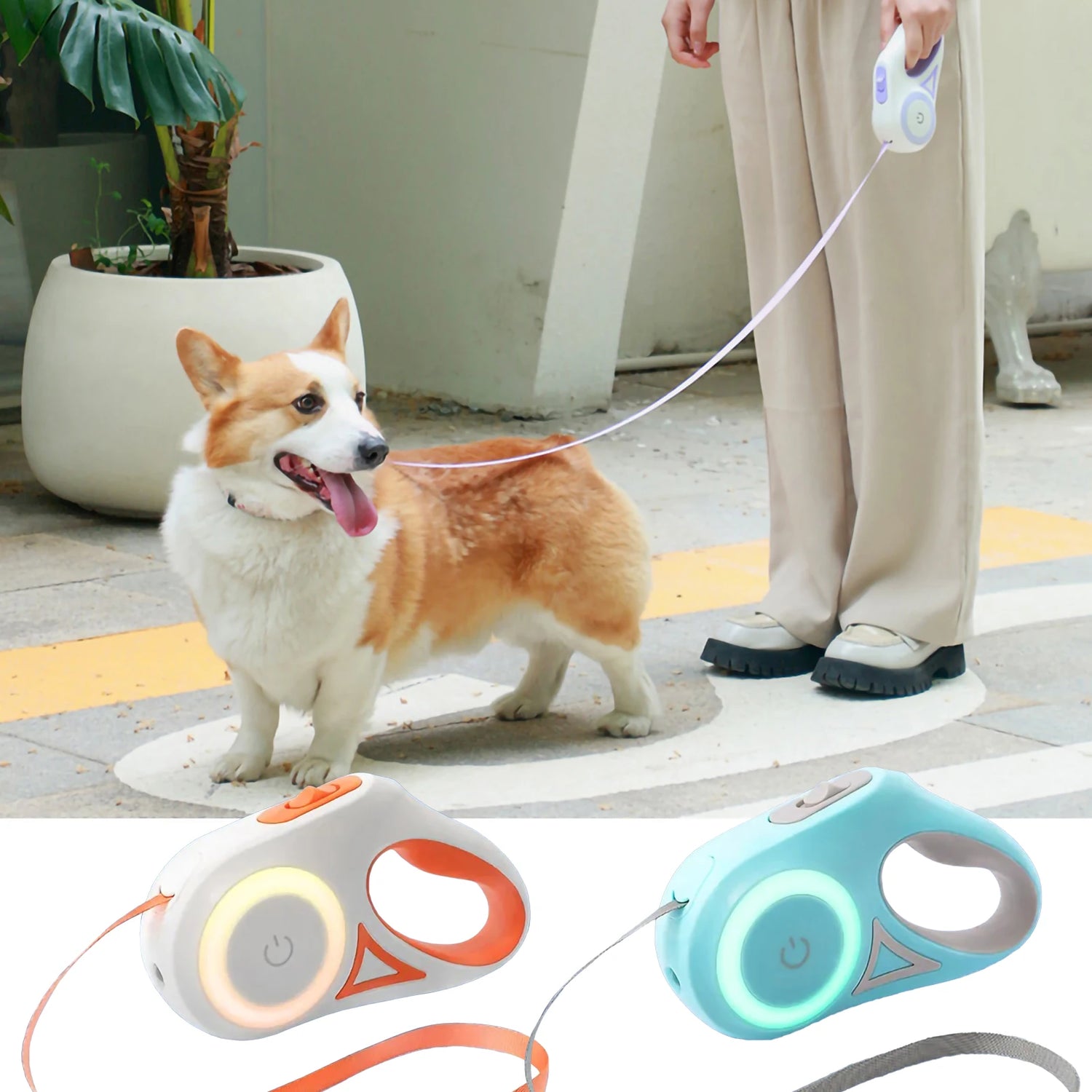 Streamer Led Lights Dog Leash Automatic.