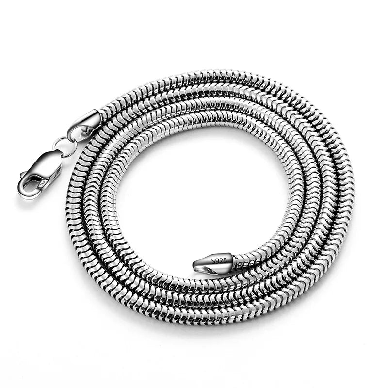 Silver Jewelry Circular Snake Bone.