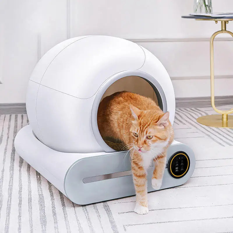 Automatic Cat Litter Box Self Cleaning.