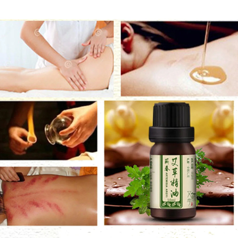 Wormwood Plant Essential Oil Cupping Guasha Massager Oils.