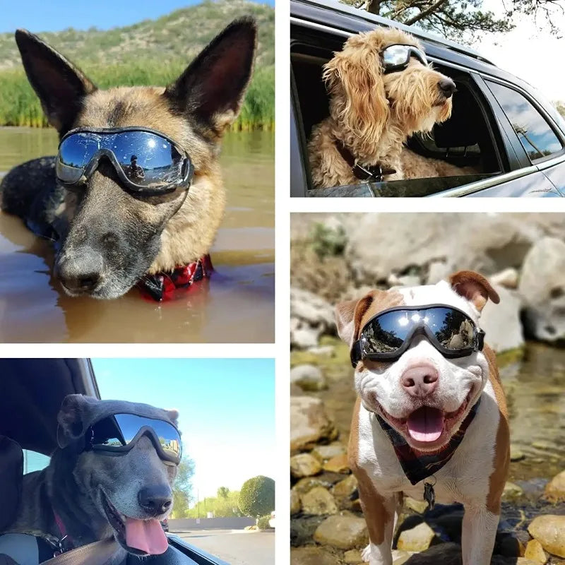 Dog Sunglasses Goggles Adjustable Strap for Travel Skiing and Anti-Fog Snow Goggles Pet Goggles for Medium To Large Dogs