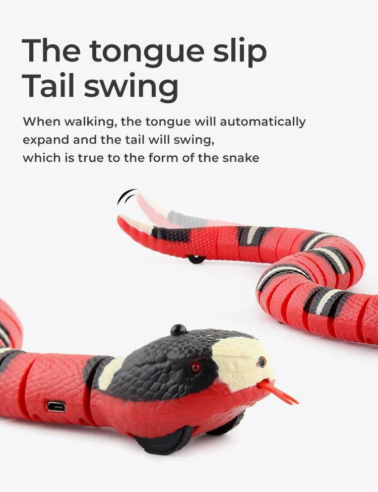 Cat Dog Pet Snake Toys Rechargeable Smart.