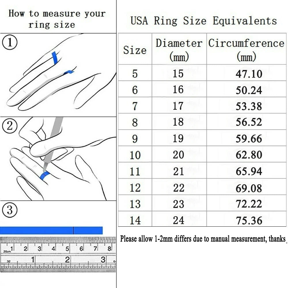 Here's a description for the Fashion Rainbow Stainless Steel Rings.