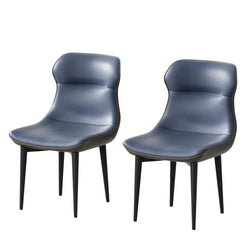 2024 New Dining Chairs Set of 2, Modern.