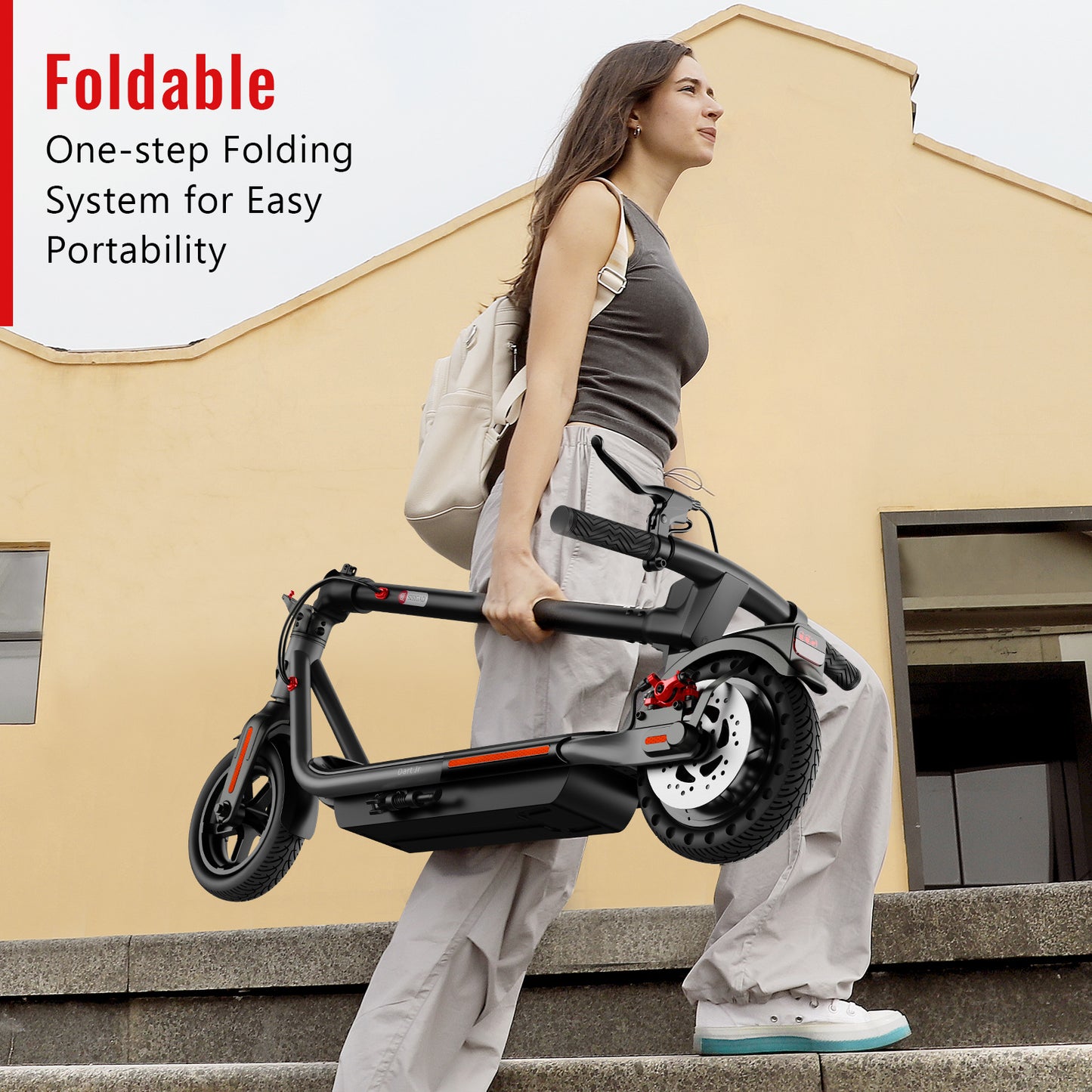 SISIGAD 300W Folding Electric Scooter.