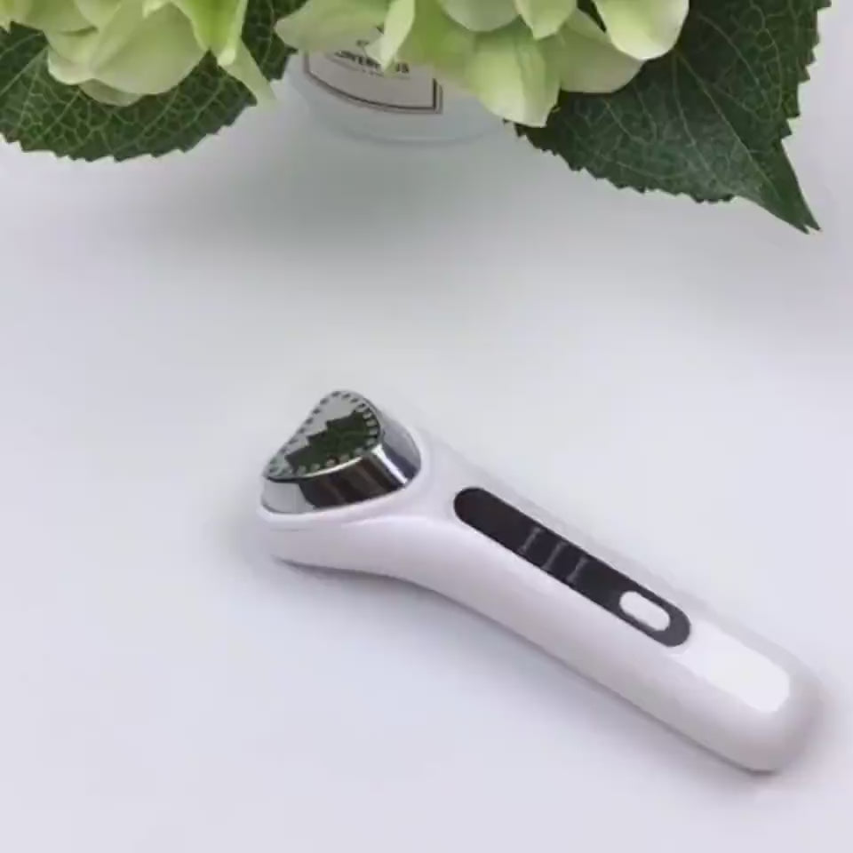 Electric Ultrasonic Facial Beauty Device