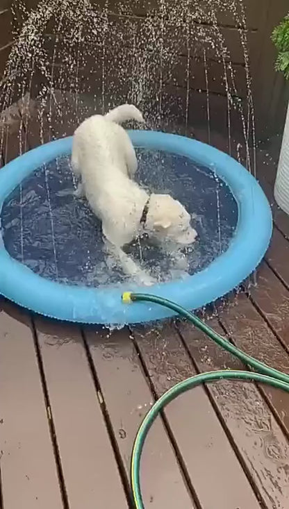 Summer Pet Swimming Pool Water Play.